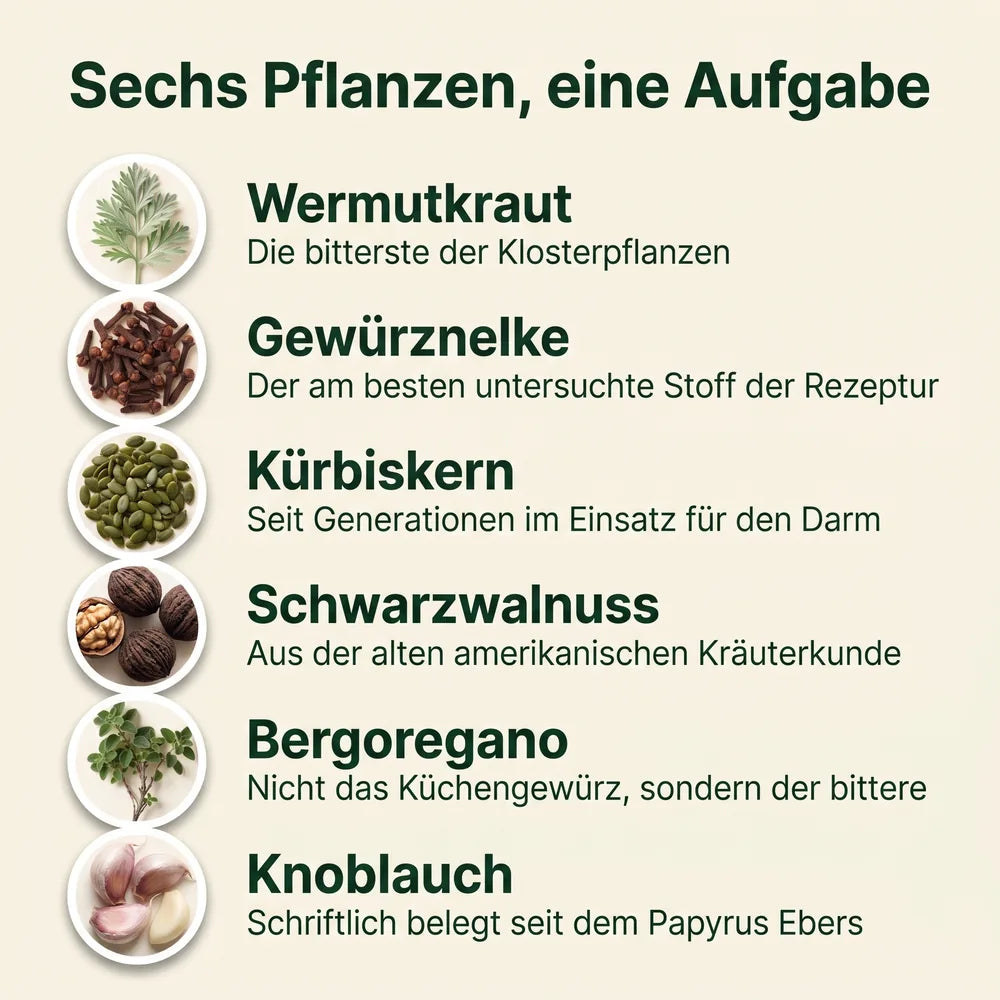 18 Pflanzenstoffe der Kräuterkur: Wermutkraut, Schwarzwalnuss, Gewürznelke, Kürbiskern, Bergoregano, Knoblauch