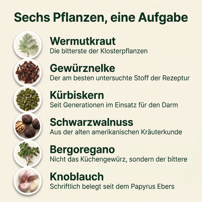 18 Pflanzenstoffe der Kräuterkur: Wermutkraut, Schwarzwalnuss, Gewürznelke, Kürbiskern, Bergoregano, Knoblauch