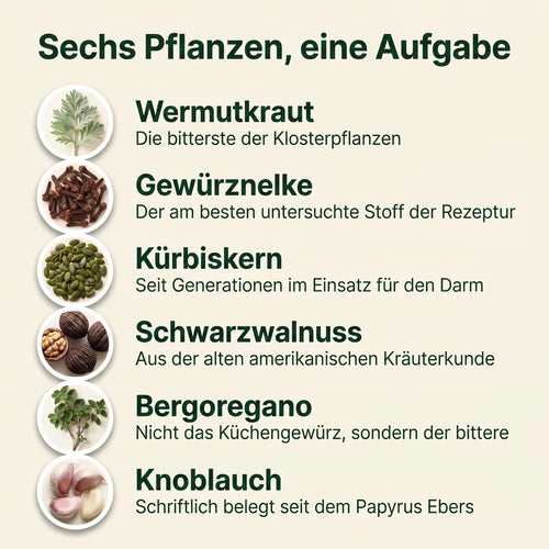 Wermut, Schwarzwalnuss & Nelke – Kräuterkur